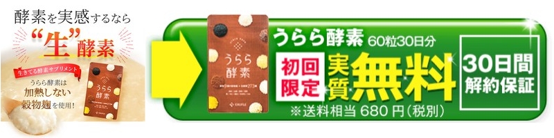 9��̍����Ń_�C�G�b�g�T�|�[�g�I�����y�f�I���T�C�g